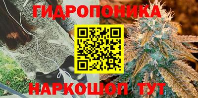 каннабис Кунгур