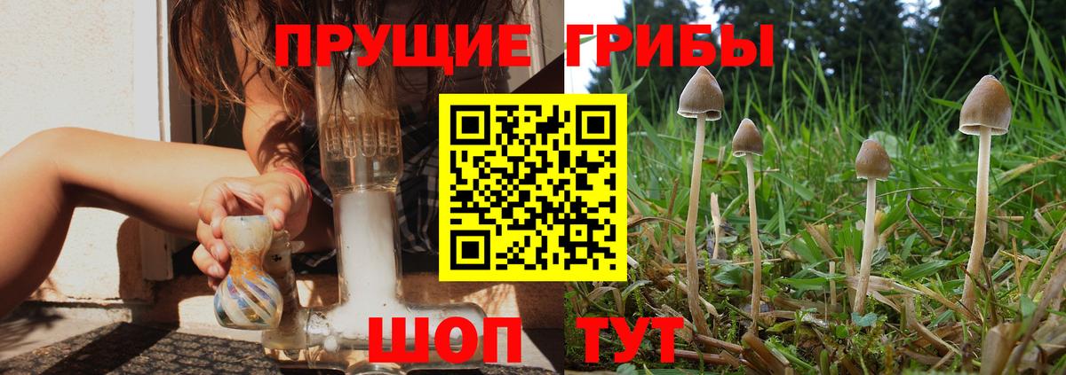 Кимовск  Псилоцибиновые грибы мухоморы  Вход с VPN 